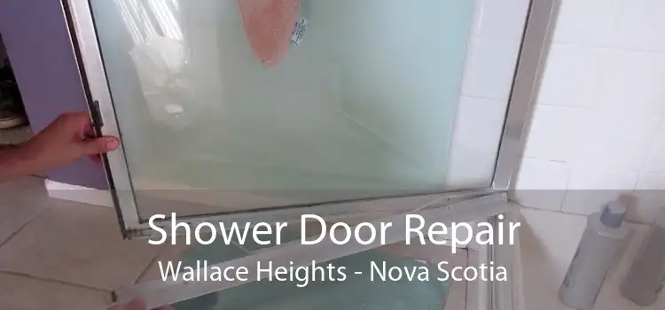 Shower Door Repair Wallace Heights - Nova Scotia