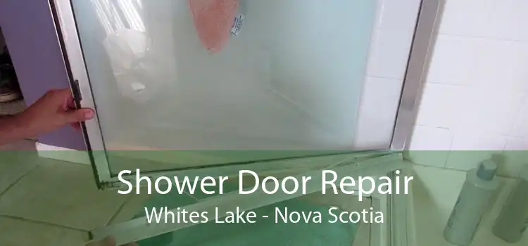 Shower Door Repair Whites Lake - Nova Scotia