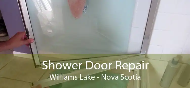 Shower Door Repair Williams Lake - Nova Scotia