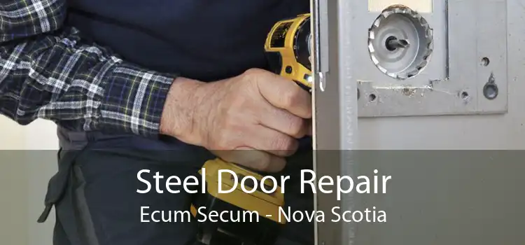 Steel Door Repair Ecum Secum - Nova Scotia
