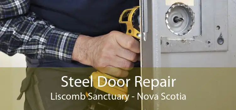 Steel Door Repair Liscomb Sanctuary - Nova Scotia