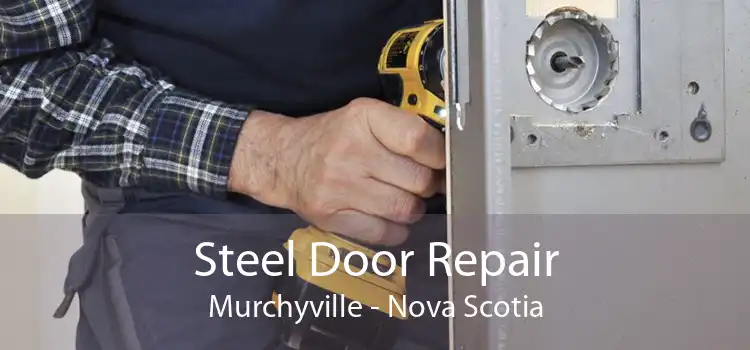 Steel Door Repair Murchyville - Nova Scotia