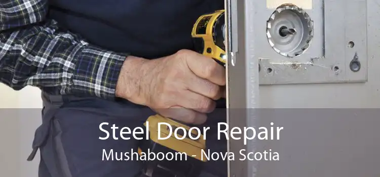 Steel Door Repair Mushaboom - Nova Scotia