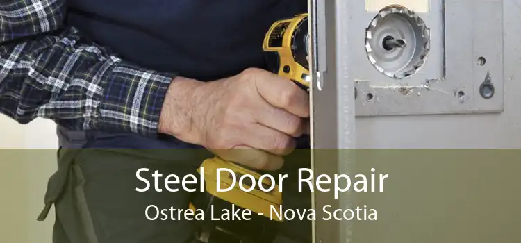 Steel Door Repair Ostrea Lake - Nova Scotia
