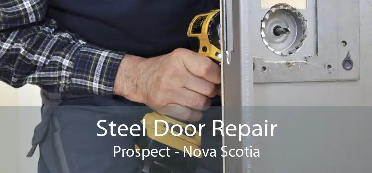 Steel Door Repair Prospect - Nova Scotia