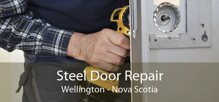 Steel Door Repair Wellington - Nova Scotia