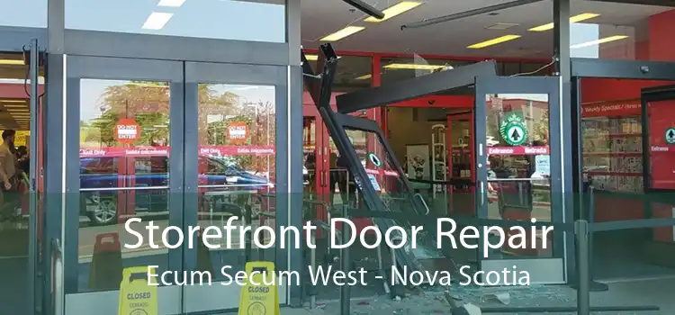 Storefront Door Repair Ecum Secum West - Nova Scotia