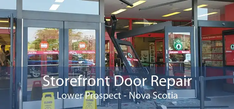 Storefront Door Repair Lower Prospect - Nova Scotia