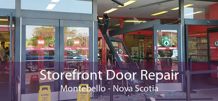 Storefront Door Repair Montebello - Nova Scotia