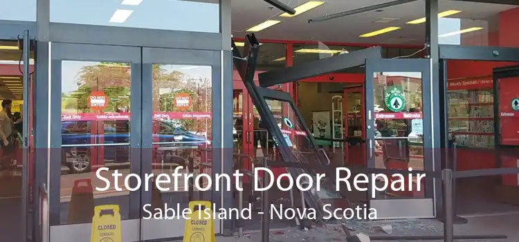 Storefront Door Repair Sable Island - Nova Scotia