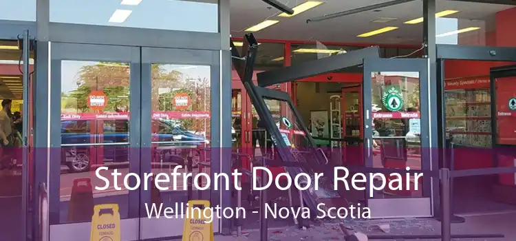 Storefront Door Repair Wellington - Nova Scotia
